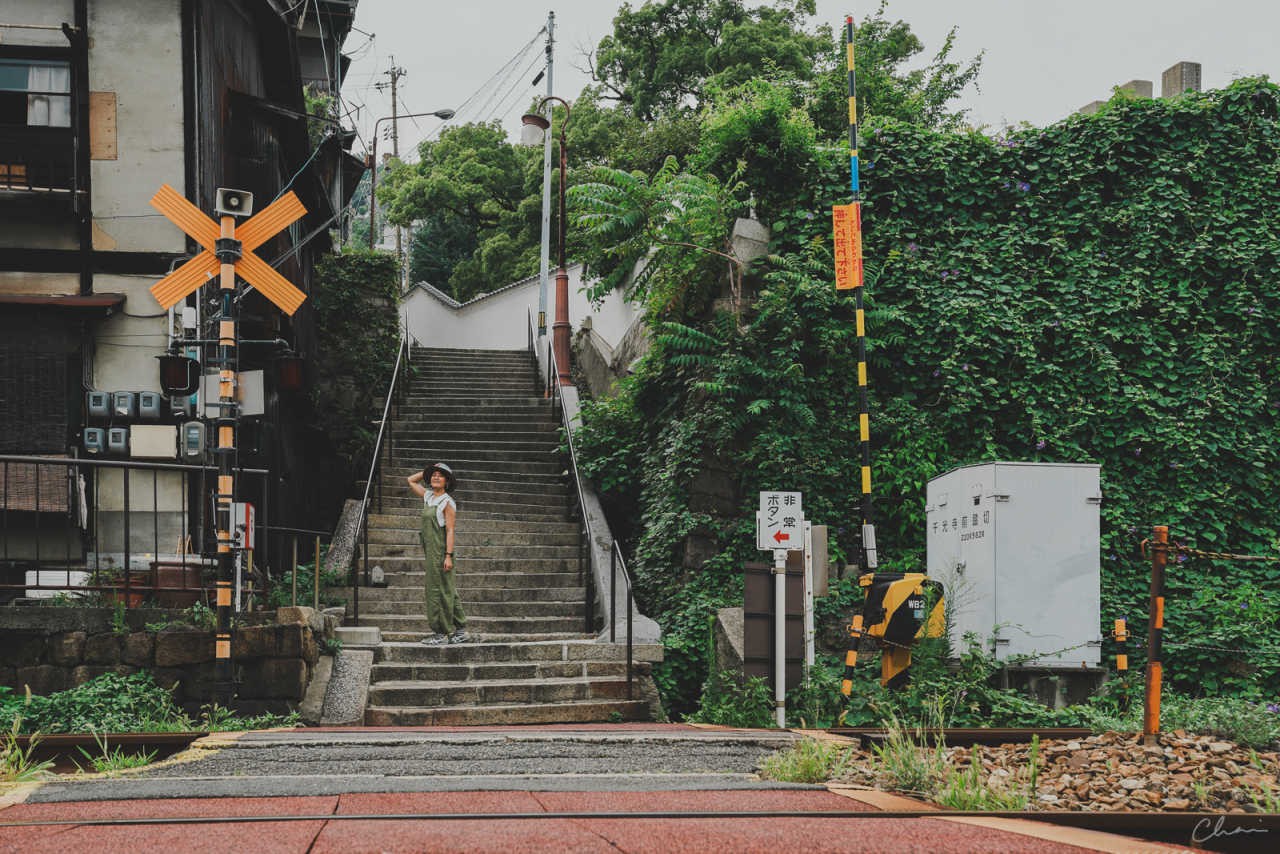 京都的霜叶，北海道的雪国